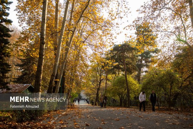 A symphony of autumn colors: Discover the enchanting Sa’dabad complex in Tehran