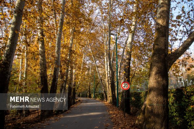 A symphony of autumn colors: Discover the enchanting Sa’dabad complex in Tehran