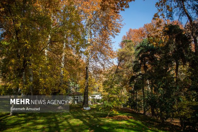 A symphony of autumn colors: Discover the enchanting Sa’dabad complex in Tehran