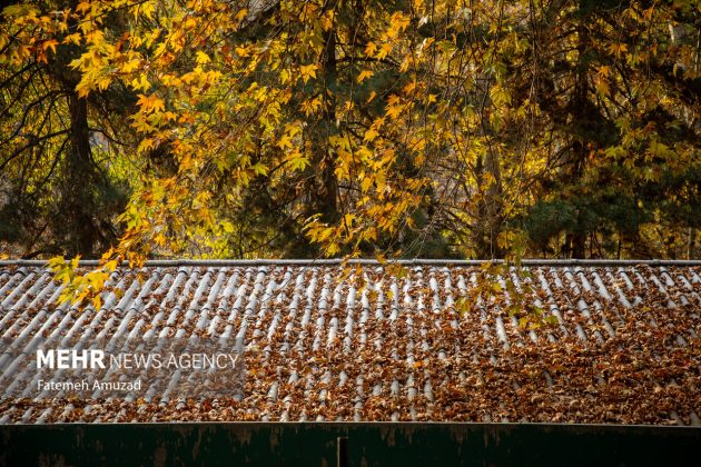 A symphony of autumn colors: Discover the enchanting Sa’dabad complex in Tehran