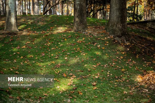 A symphony of autumn colors: Discover the enchanting Sa’dabad complex in Tehran