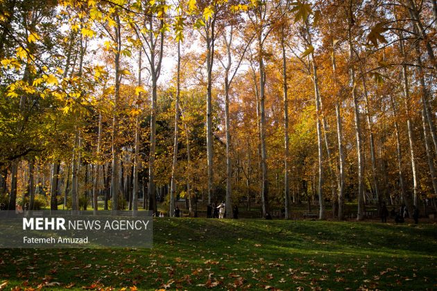 A symphony of autumn colors: Discover the enchanting Sa’dabad complex in Tehran