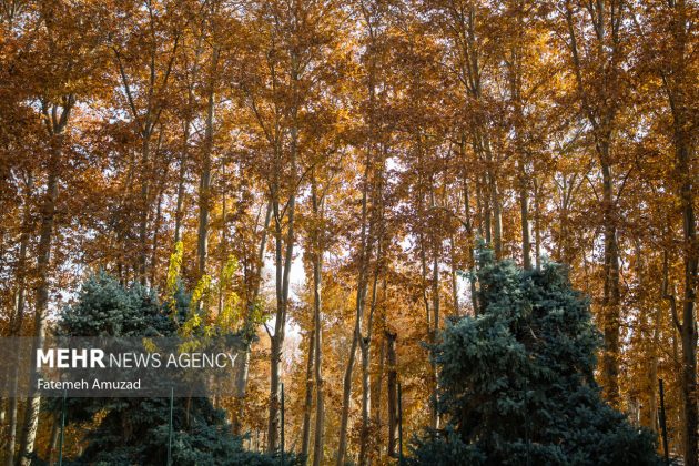 A symphony of autumn colors: Discover the enchanting Sa’dabad complex in Tehran