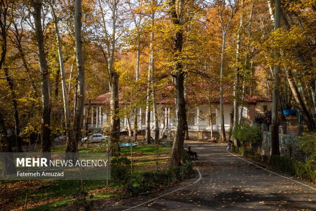 A symphony of autumn colors: Discover the enchanting Sa’dabad complex in Tehran