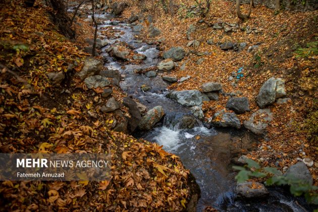 A symphony of autumn colors: Discover the enchanting Sa’dabad complex in Tehran