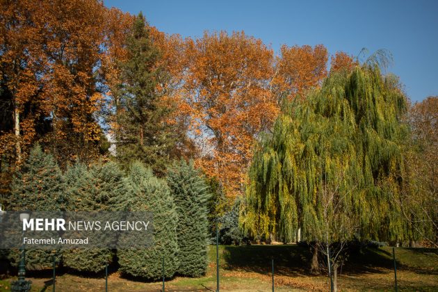 A symphony of autumn colors: Discover the enchanting Sa’dabad complex in Tehran