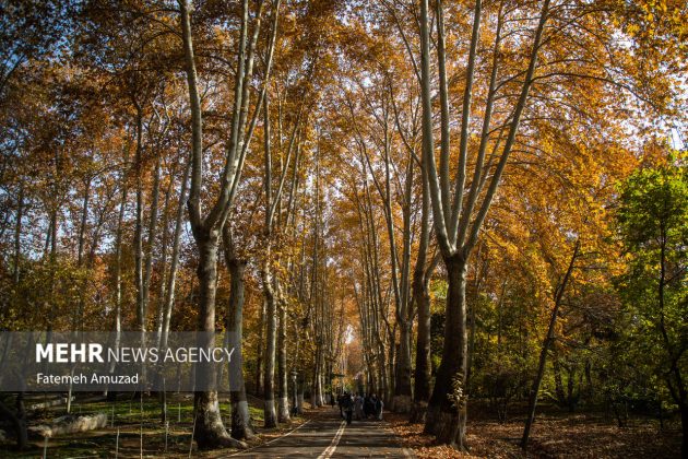 A symphony of autumn colors: Discover the enchanting Sa’dabad complex in Tehran