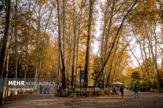 A symphony of autumn colors: Discover the enchanting Sa’dabad complex in Tehran