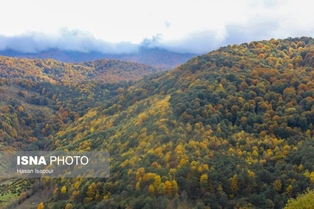 Embrace the enchanting autumn beauty of Farim Sahra forests in Iran’s Mazandaran