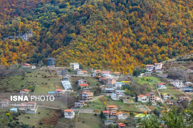 Embrace the enchanting autumn beauty of Farim Sahra forests in Iran’s Mazandaran