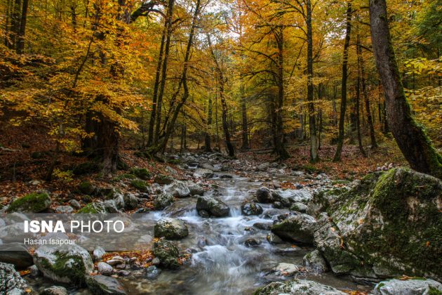 Embrace the enchanting autumn beauty of Farim Sahra forests in Iran’s Mazandaran