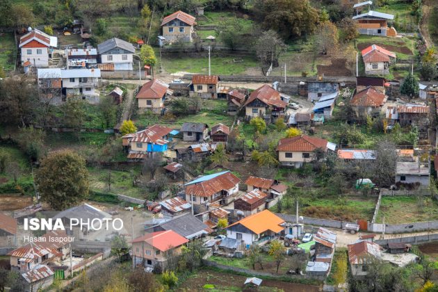 Embrace the enchanting autumn beauty of Farim Sahra forests in Iran’s Mazandaran