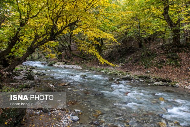 Embrace the enchanting autumn beauty of Farim Sahra forests in Iran’s Mazandaran