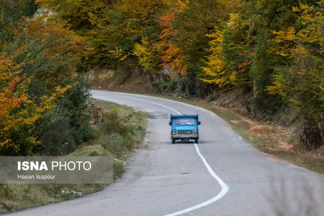 Embrace the enchanting autumn beauty of Farim Sahra forests in Iran’s Mazandaran