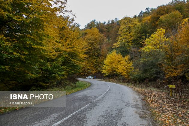 Embrace the enchanting autumn beauty of Farim Sahra forests in Iran’s Mazandaran