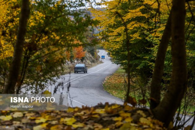 Embrace the enchanting autumn beauty of Farim Sahra forests in Iran’s Mazandaran