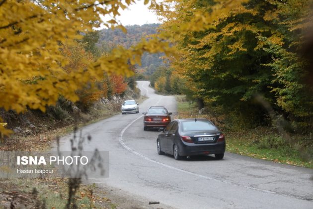 Embrace the enchanting autumn beauty of Farim Sahra forests in Iran’s Mazandaran