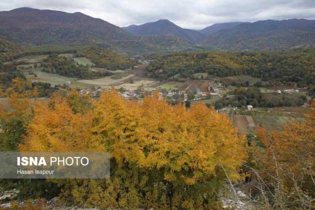 Embrace the enchanting autumn beauty of Farim Sahra forests in Iran’s Mazandaran