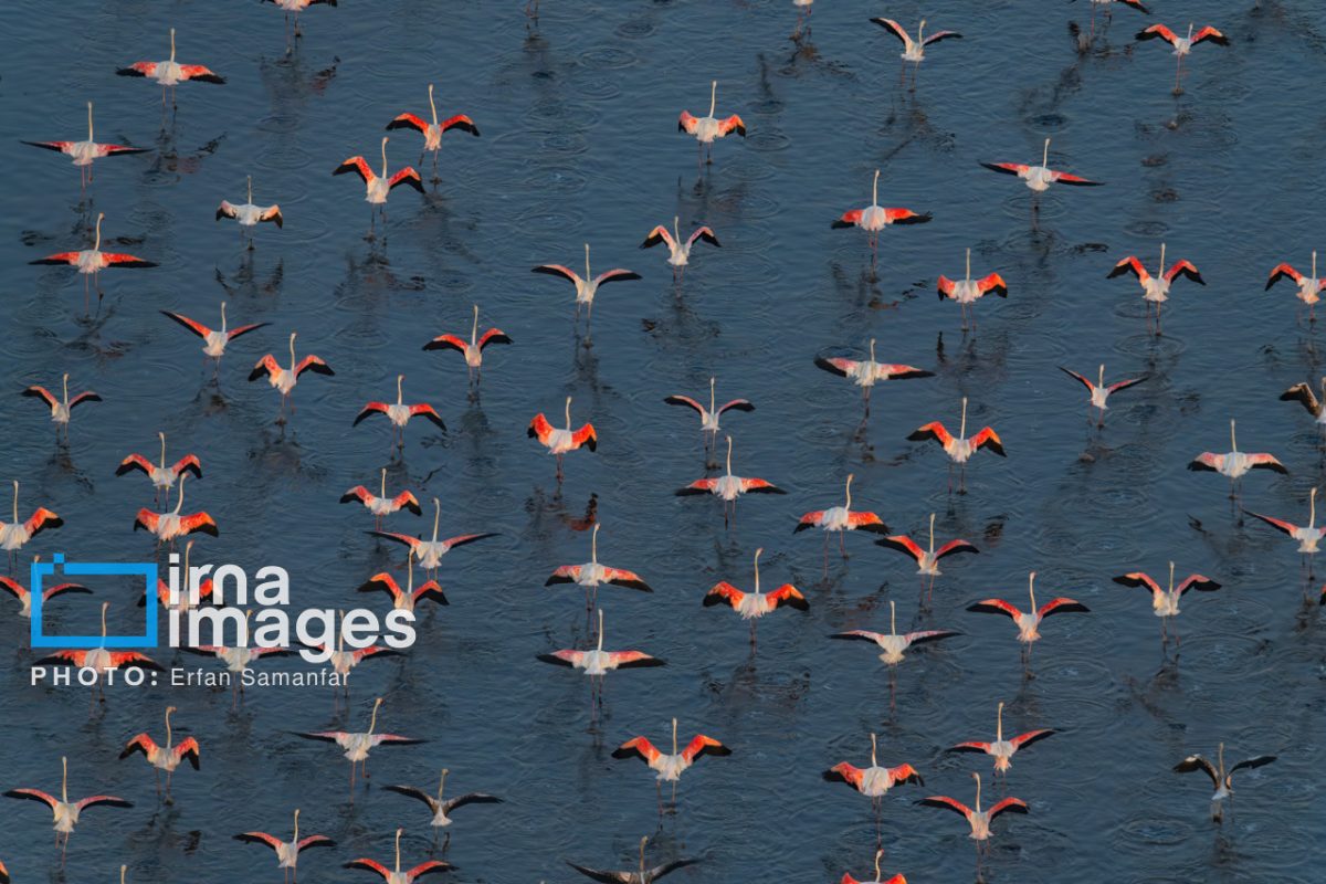 Soaring over Iran’s Maharloo Lake 45 Soaring over Iran’s Maharloo Lake