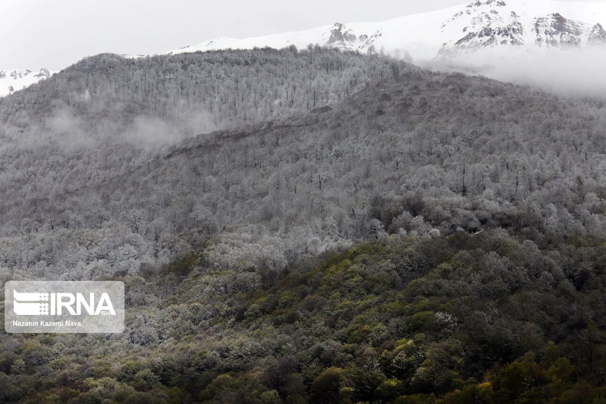 Beauty of snow in Hyrcanian forests, northern Iran 1 Beauty of snow in Hyrcanian forests, northern Iran