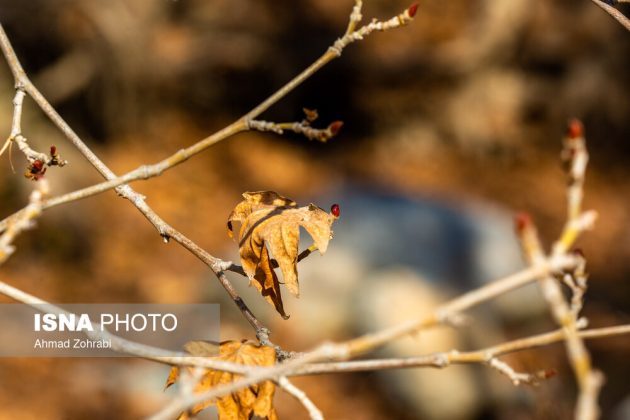 Captivating autumn scenery in Ghahan, Qom