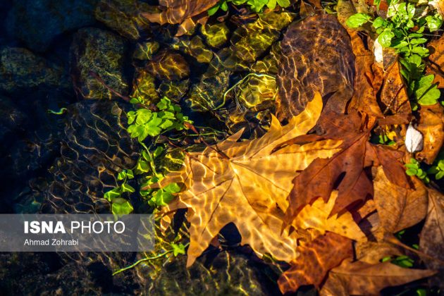 Captivating autumn scenery in Ghahan, Qom