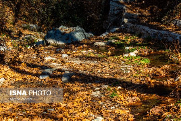 Captivating autumn scenery in Ghahan, Qom