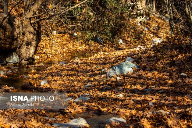 Captivating autumn scenery in Ghahan, Qom