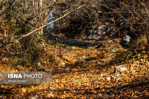 Captivating autumn scenery in Ghahan, Qom