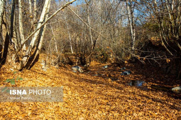 Captivating autumn scenery in Ghahan, Qom