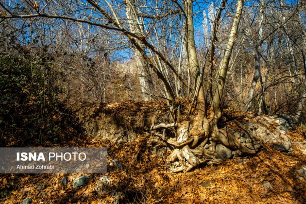 Captivating autumn scenery in Ghahan, Qom