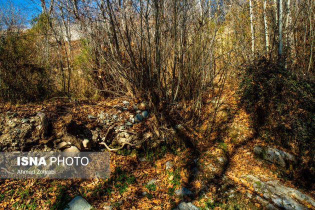 Captivating autumn scenery in Ghahan, Qom