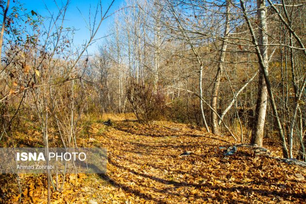 Captivating autumn scenery in Ghahan, Qom