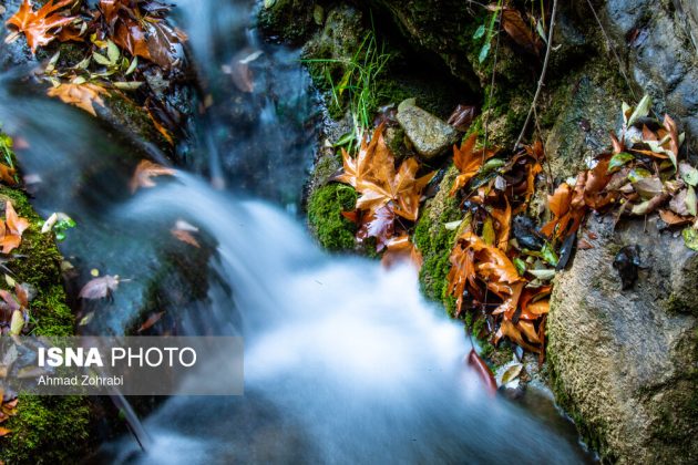 Captivating autumn scenery in Ghahan, Qom