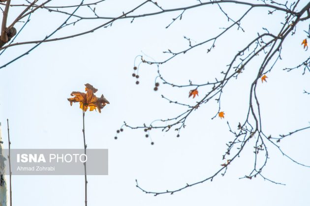 Captivating autumn scenery in Ghahan, Qom