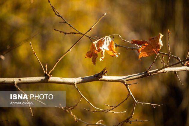 Captivating autumn scenery in Ghahan, Qom