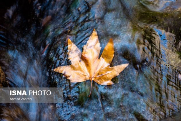 Captivating autumn scenery in Ghahan, Qom