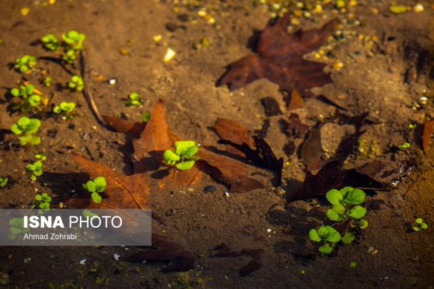 Captivating autumn scenery in Ghahan, Qom