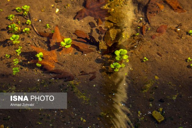 Captivating autumn scenery in Ghahan, Qom