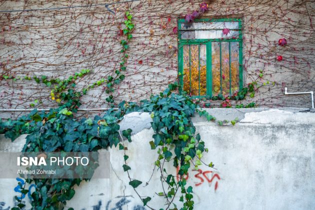 Captivating autumn scenery in Ghahan, Qom