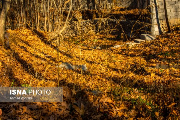 Captivating autumn scenery in Ghahan, Qom