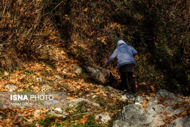 Captivating autumn scenery in Ghahan, Qom