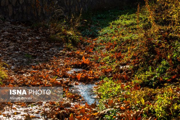 Captivating autumn scenery in Ghahan, Qom