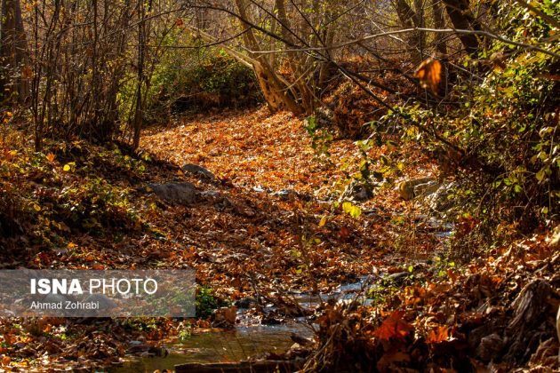 Captivating autumn scenery in Ghahan, Qom