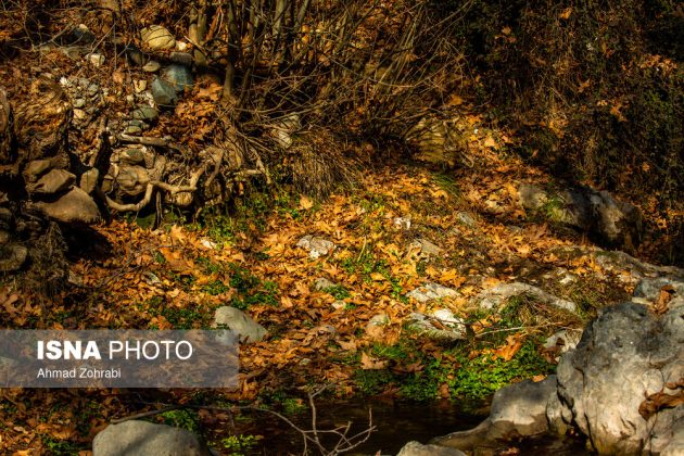 Captivating autumn scenery in Ghahan, Qom