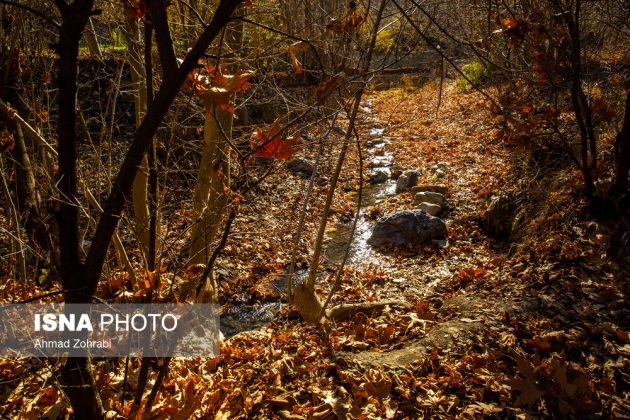 Captivating autumn scenery in Ghahan, Qom