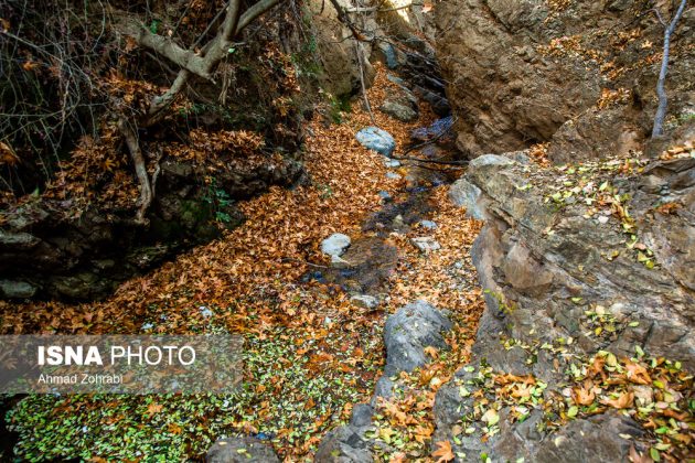 Captivating autumn scenery in Ghahan, Qom