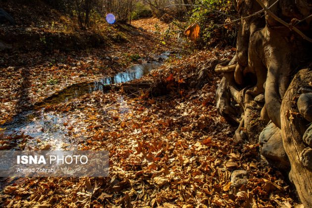 Captivating autumn scenery in Ghahan, Qom