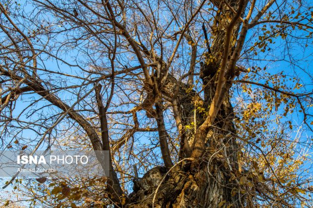 Captivating autumn scenery in Ghahan, Qom