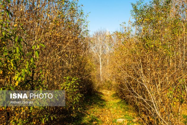 Captivating autumn scenery in Ghahan, Qom